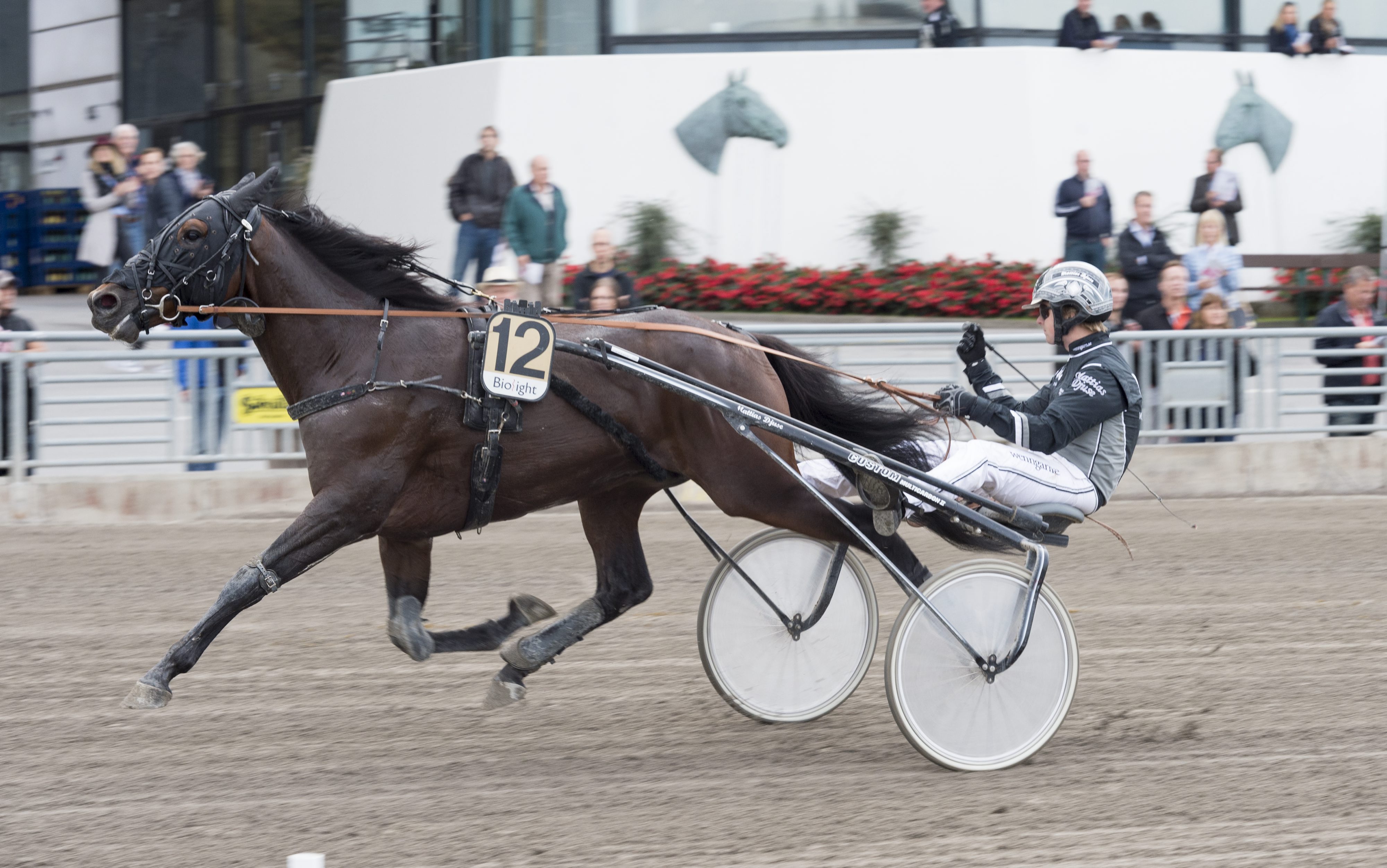 Foto: Tommy Andersson, ALN Pressbild AB, Solvalla 20160925