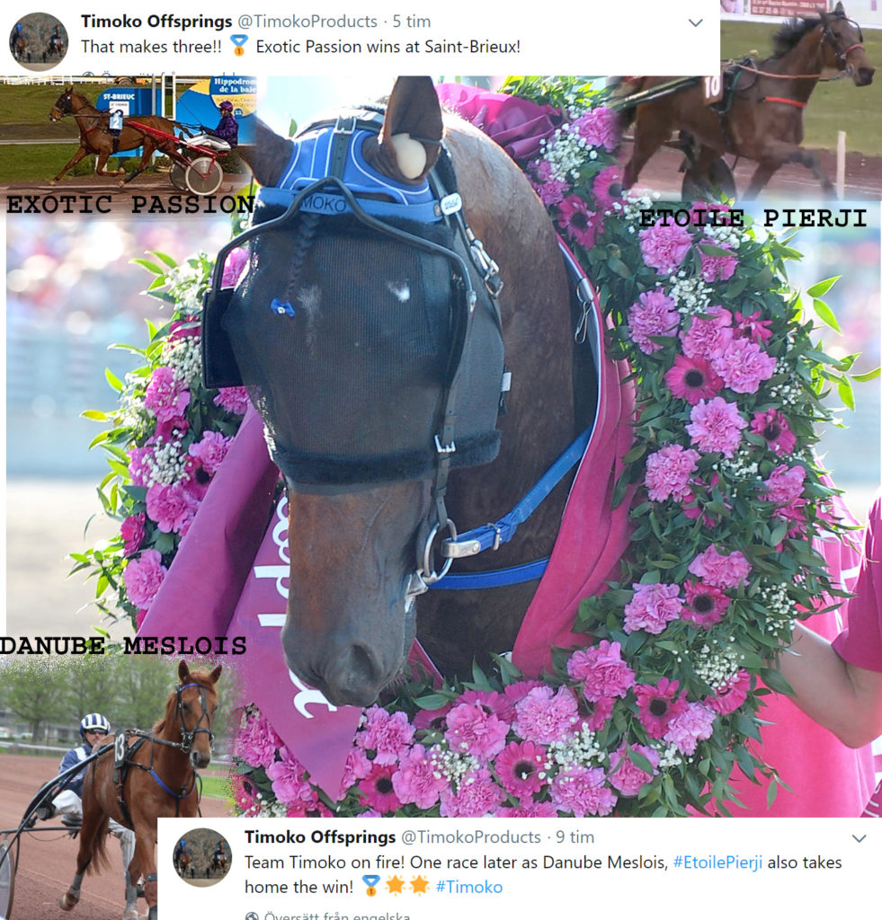 Timoko