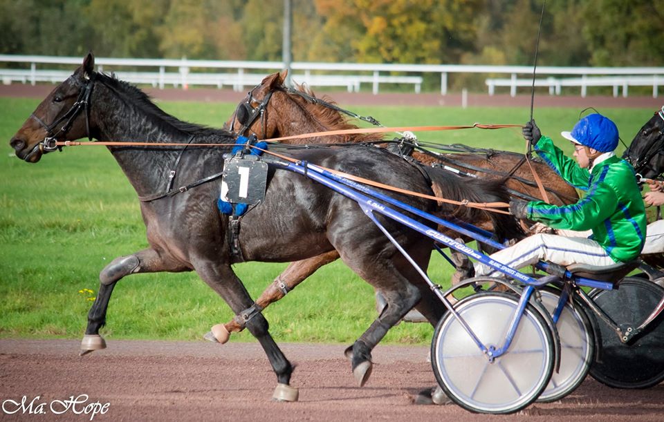 france-majyc-tidigare