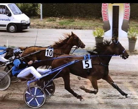 gabo-di-rocca-wint-in-grenade-sur-garonne