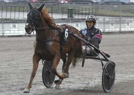 Foto:Christer Norin/ALN Gävle 20191121. Gento Renka, Jörgen S Eriksson.