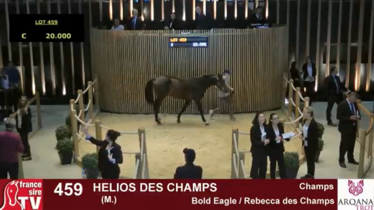 helios-des-champs-1200x675