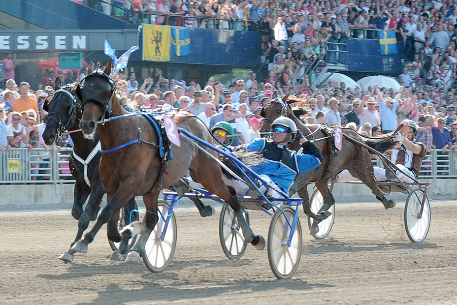 Timoko