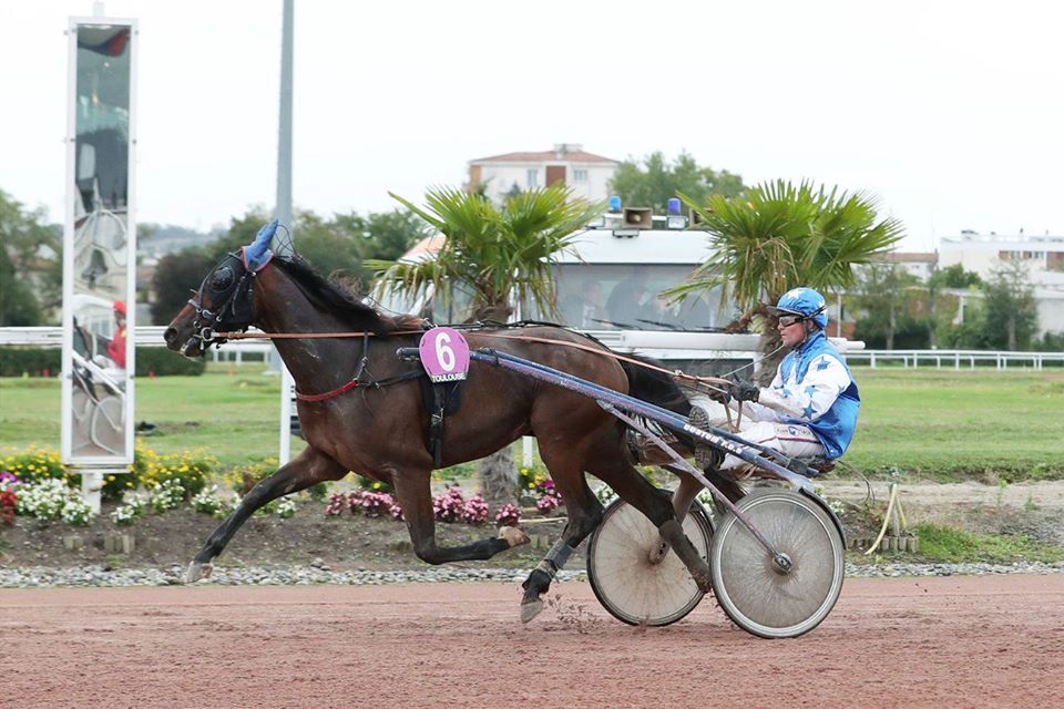 guerriere-wind-bp