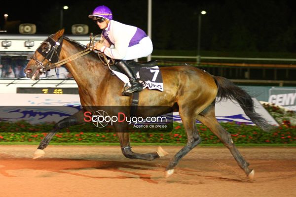 quorom-quick-prix-des-montbretias