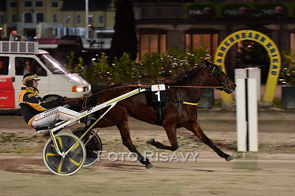 tammy-timoko-ostrrike