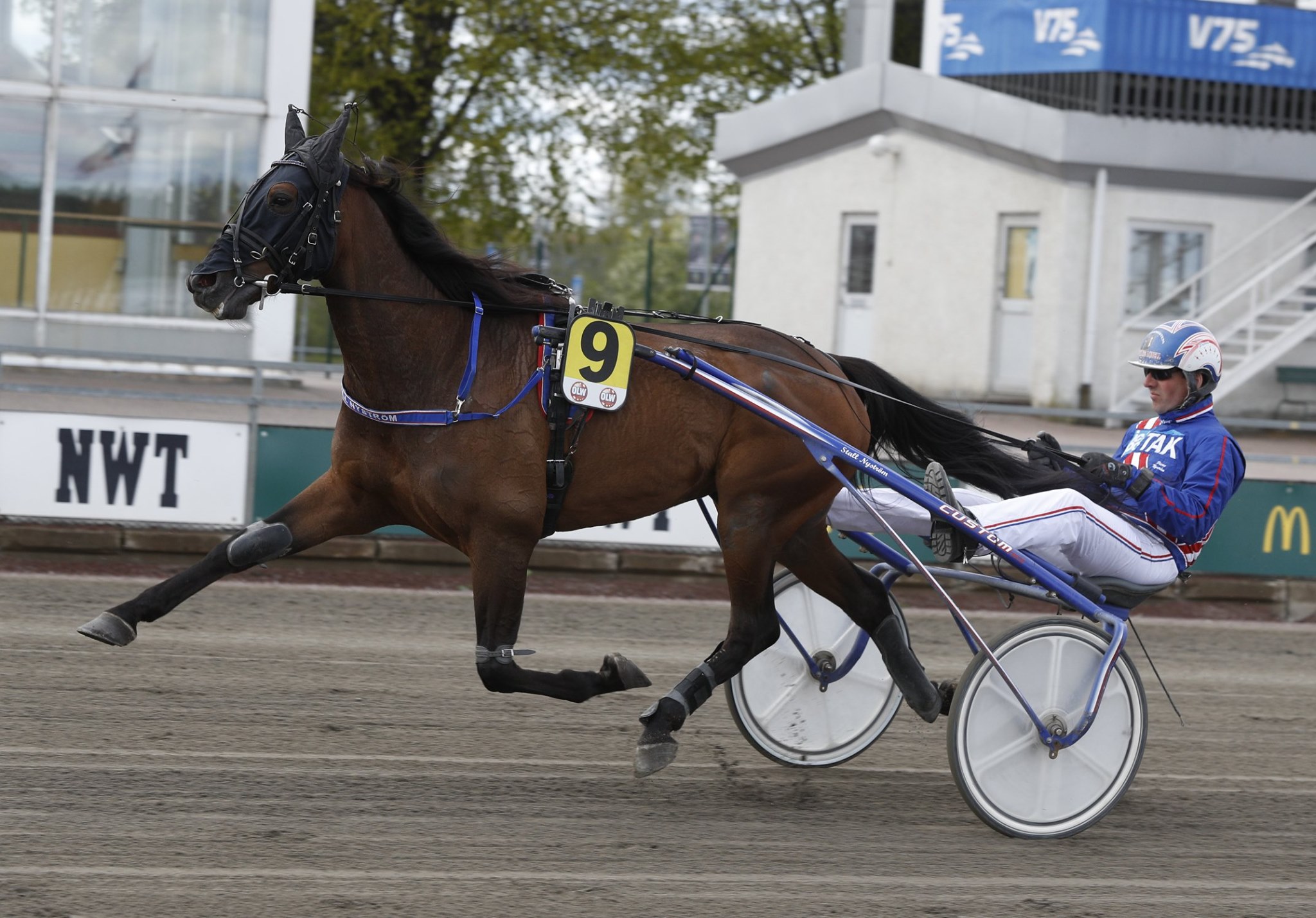 timo-lane-2-timoko