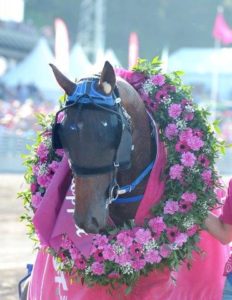 Timoko