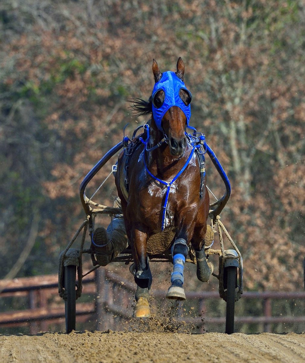 timoko-on-training