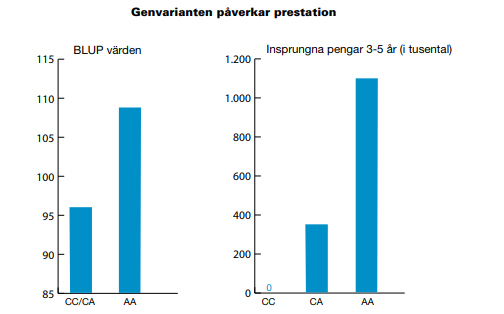 travgenen