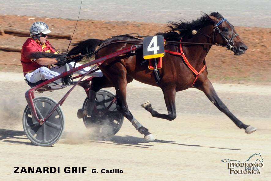 zanardi-grif